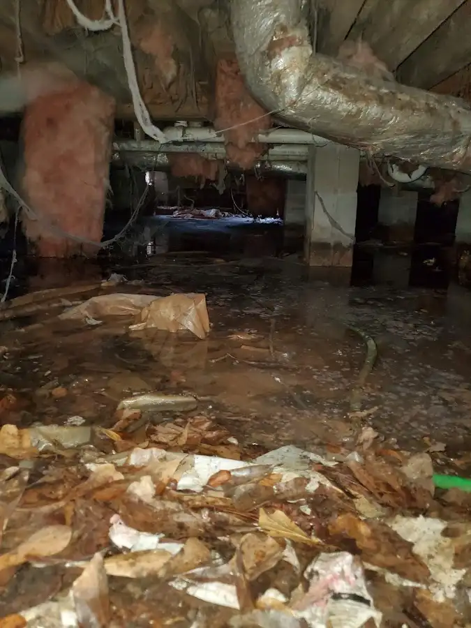 Crawl space flood assessment for Leak Detection & Repair in Keokuk